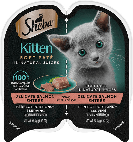 Sheba Kitten Paté - Salmon
